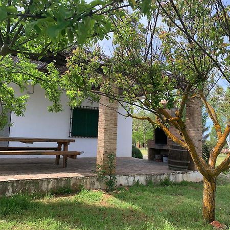 Gran Casa, Lagunas De Ruidera, Bbq, Porche, Chimenea Kültér fotó