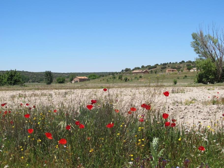 Gran Casa, Lagunas De Ruidera, Bbq, Porche, Chimenea Kültér fotó