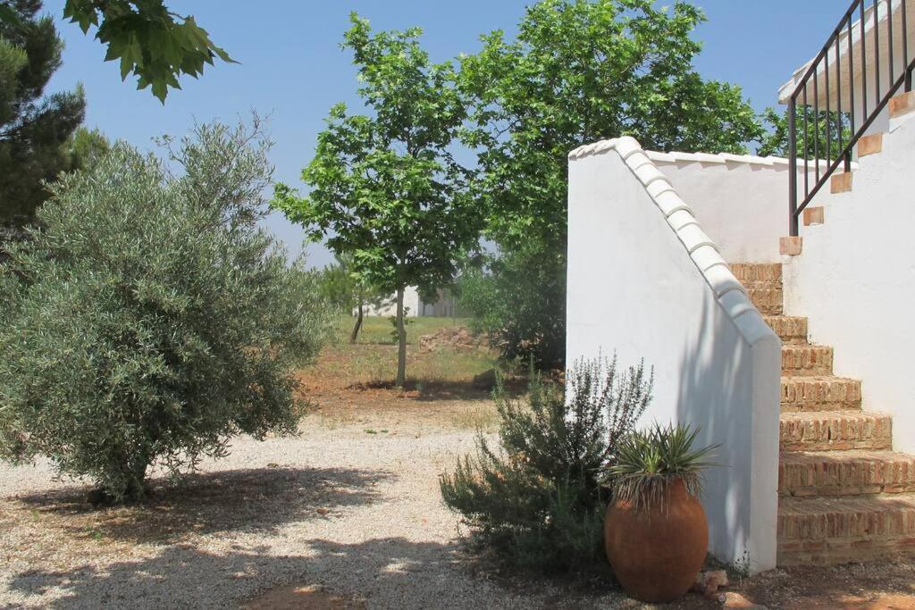 Gran Casa, Lagunas De Ruidera, Bbq, Porche, Chimenea Kültér fotó