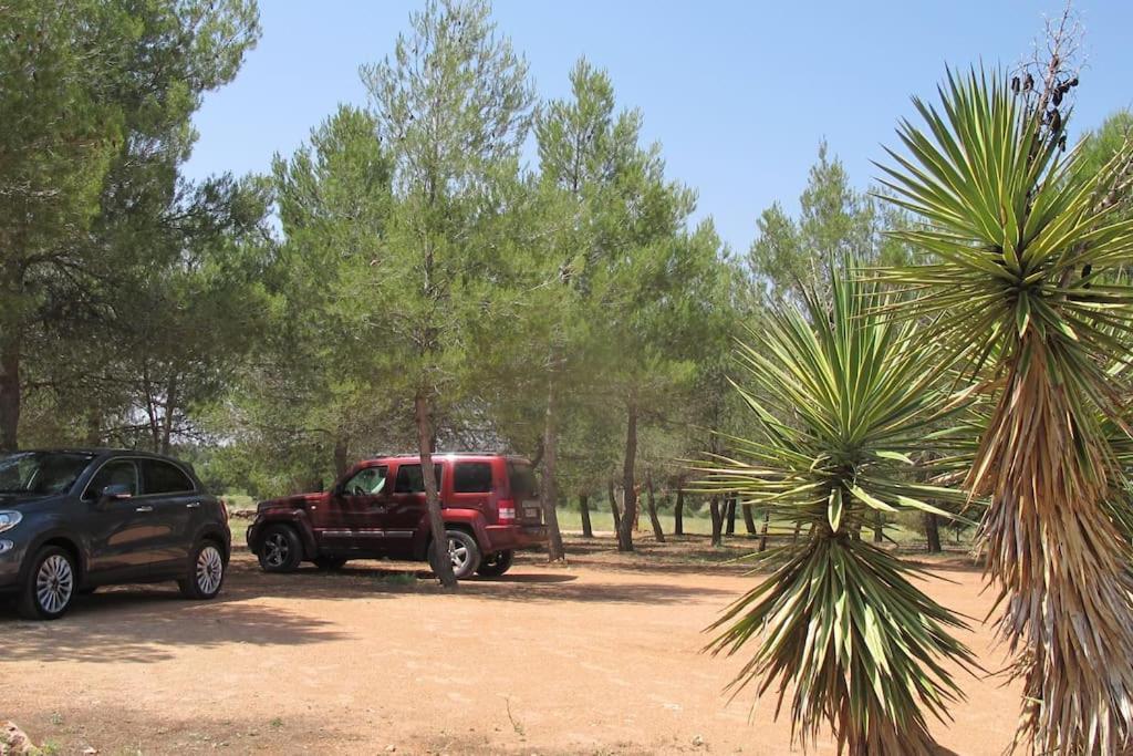 Gran Casa, Lagunas De Ruidera, Bbq, Porche, Chimenea Kültér fotó